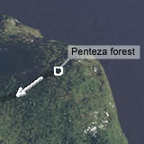 Penteza forest